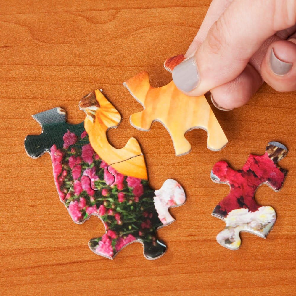 Bits and Pieces – Rompecabezas de 300 piezas para adultos – Rompecabezas de 300 piezas grandes de Puddle Jumpers por el artista John Sloane – 18 x