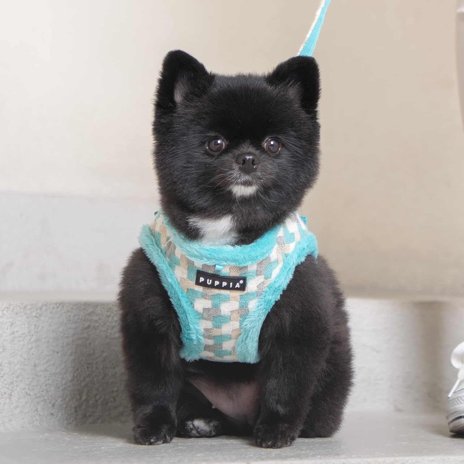 Puppia Arden Arnés A – Aqua – L