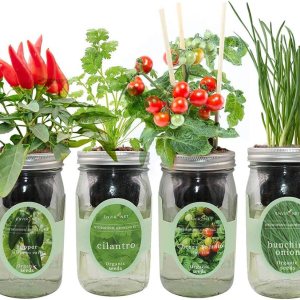 Kit de iniciación de semillas orgánicas hidropónicas en tarro de masón para interiores y jardÃn, kits de cultivo de salsa picante, regalo de Kit de iniciación de semillas orgánicas hidropónicas en tarro de masón para interiores y jardÃn, kits de cultivo de salsa picante, regalo de
