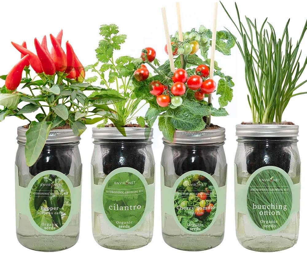 Kit de iniciación de semillas orgánicas hidropónicas en tarro de masón para interiores y jardín, kits de cultivo de salsa picante, regalo de