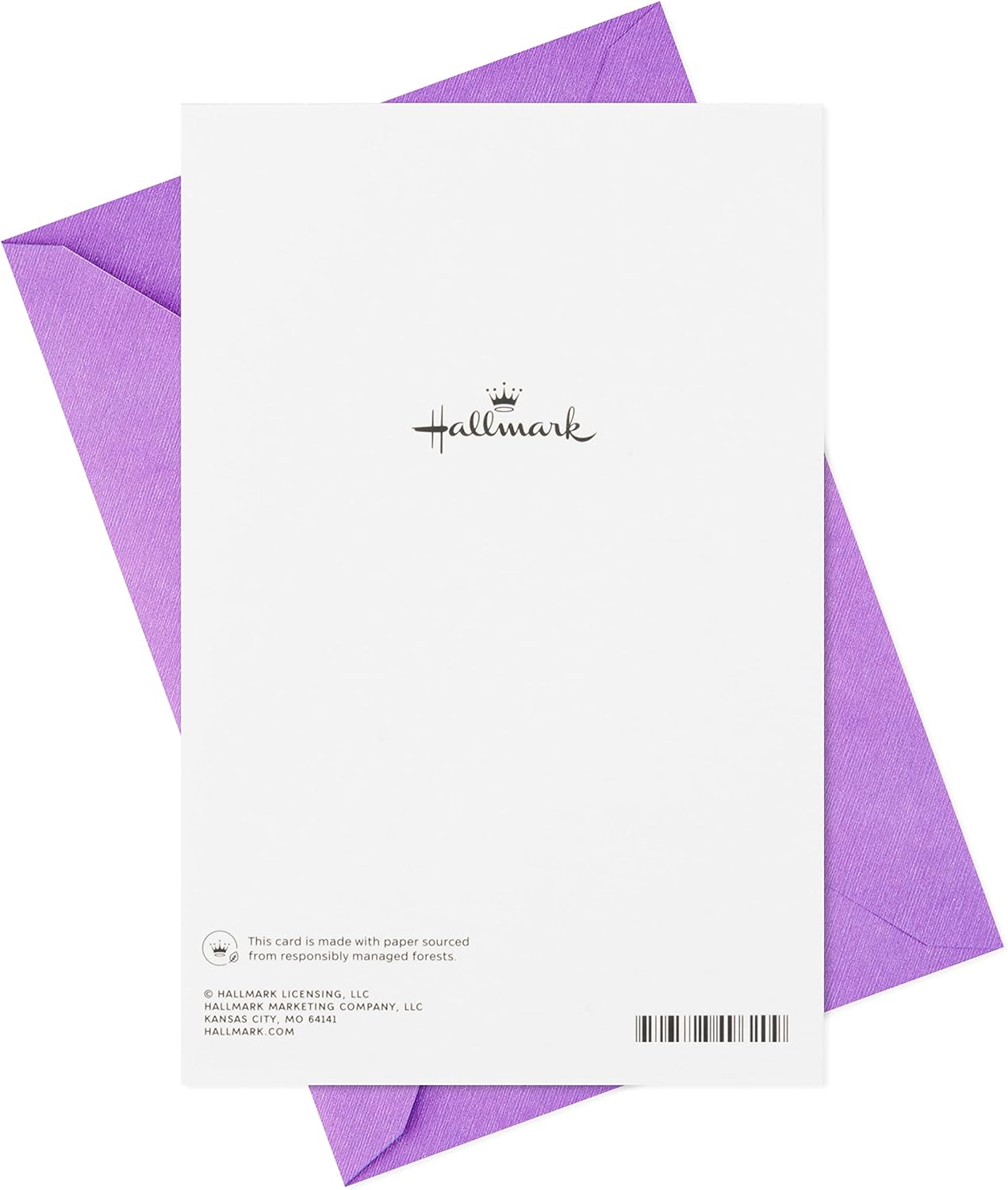 Hallmark Tarjeta de aniversario (tortugas)