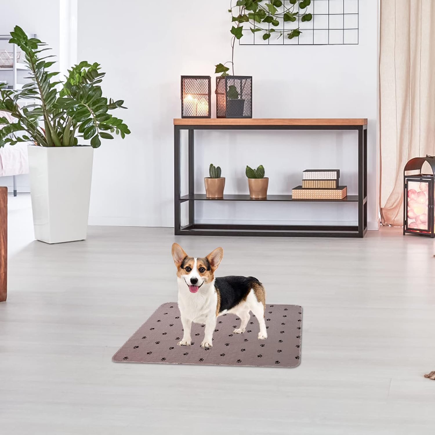 PUPTECK Almohadillas lavables para orina para perros, paquete de 4 unidades, impermeables, reutilizables, almohadillas de entrenamiento para