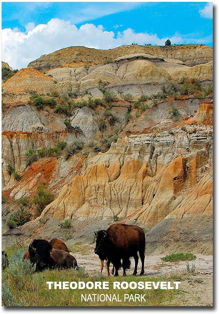Theodore Roosevelt National Park North Dakota-Bisonte imán para nevera tamaño 2.5″ x 3.5″