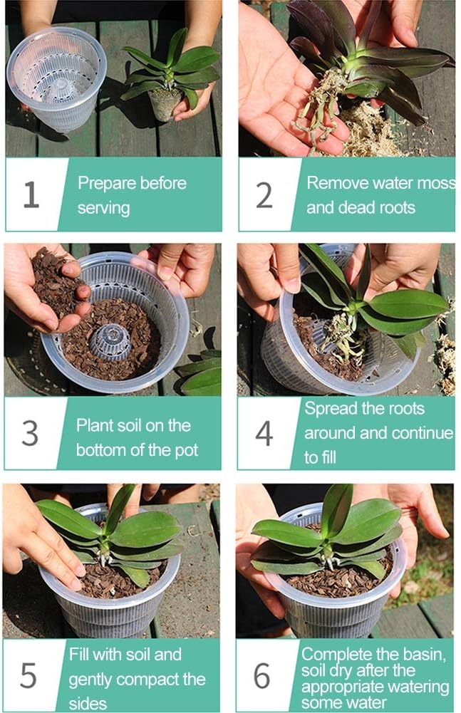 Ochine 1 paquete de macetas de plástico transparente para orquídeas con agujeros, cestas de plástico para plantas carnosas, contenedor duradero de