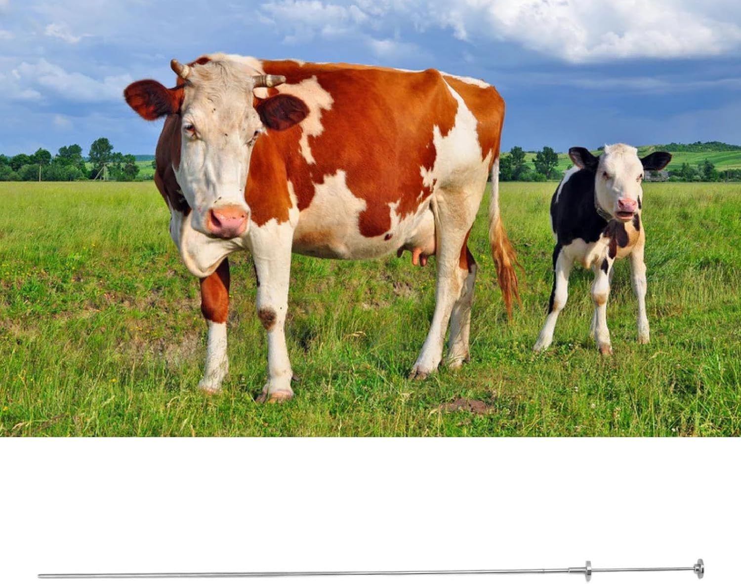 TOPINCN Herramienta de inseminación de vacas para pistola 0.0 fl oz 0.0 fl oz Granja manga externa de vaca Inseminación Utensilio Herramienta