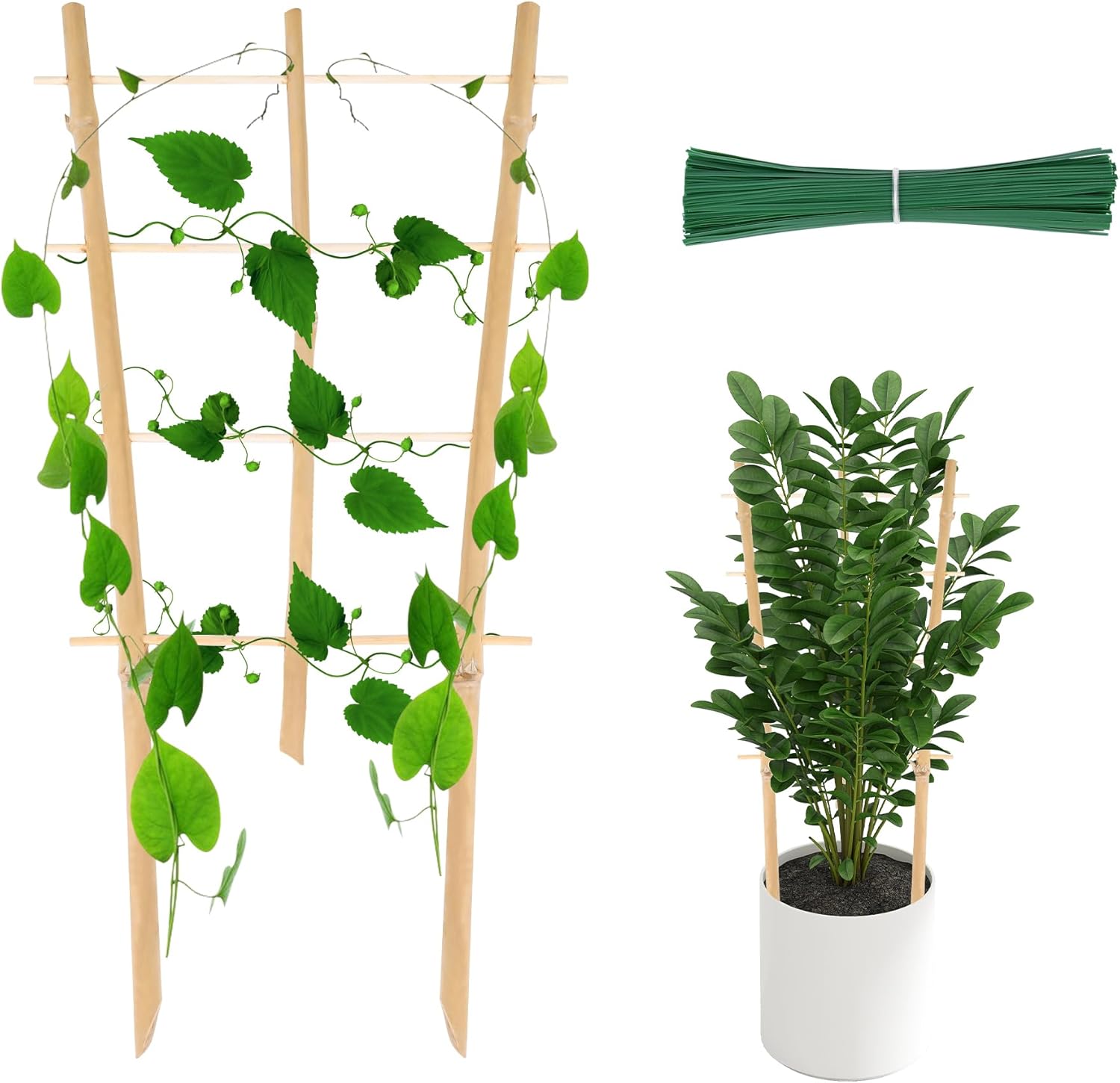 Enrejado de bambú para plantas trepadoras de 16 pulgadas, paquete de 12 entramados de bambú natural en forma de abanico, mini soporte de madera para