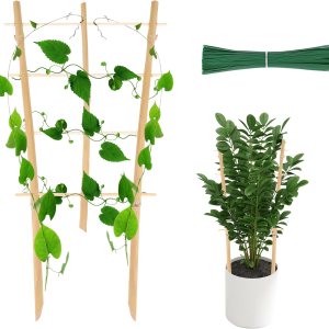 Enrejado de bambú para plantas trepadoras de 16 pulgadas, paquete de 12 entramados de bambú natural en forma de abanico, mini soporte de madera para Enrejado de bambú para plantas trepadoras de 16 pulgadas, paquete de 12 entramados de bambú natural en forma de abanico, mini soporte de madera para