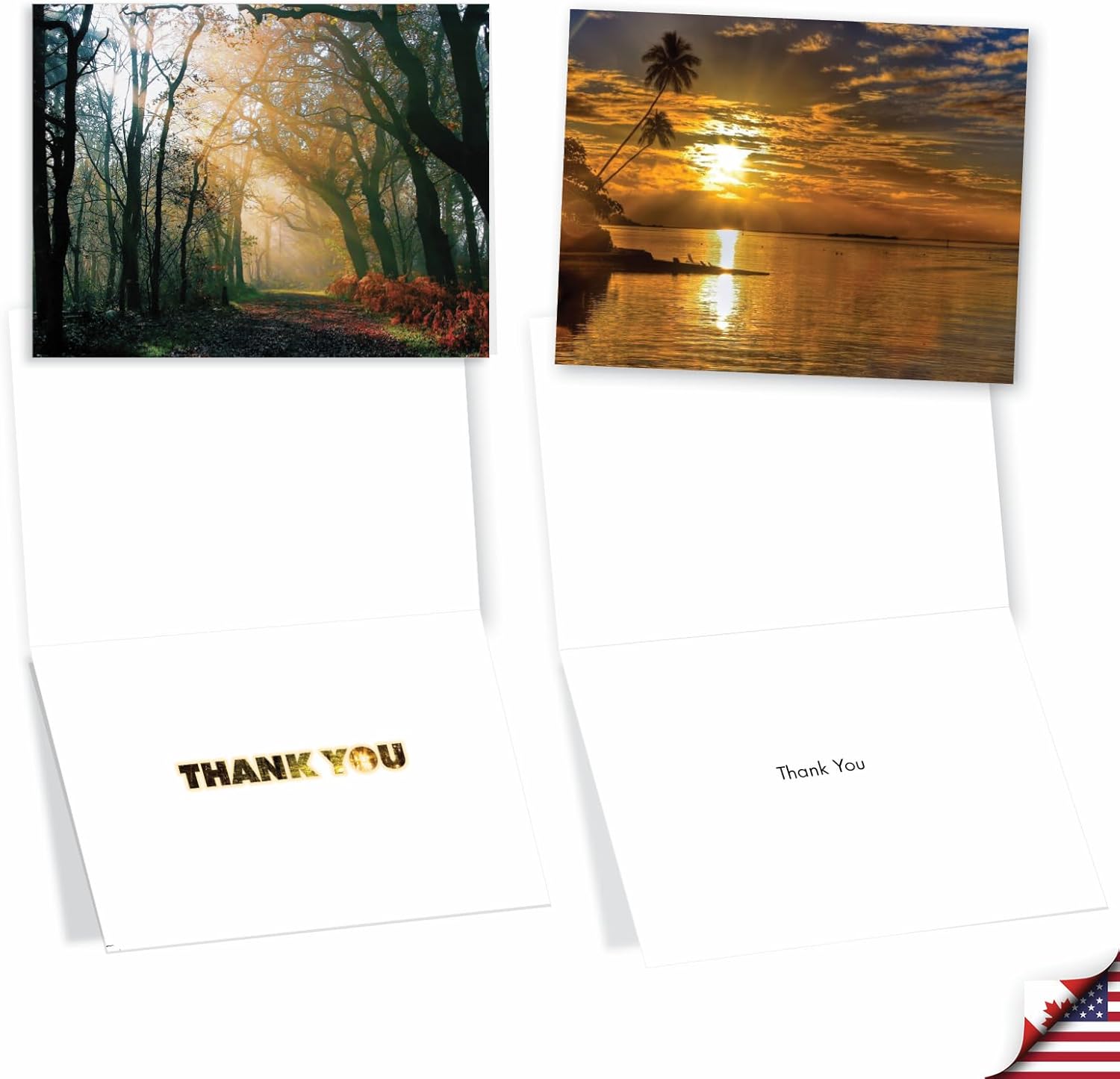 The Best Card Company – Juego de 36 notas surtidas en caja de 4 x 5.12 pulgadas con sobres (6 diseños, 6 de cada uno), paquete variado de tarjetas