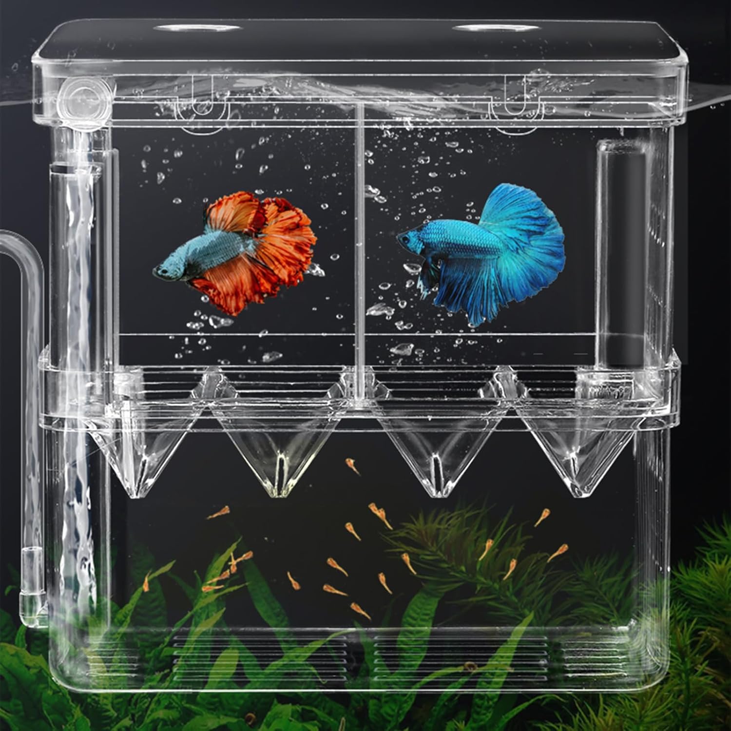 WishLotus Caja de cría de peces, caja criadora suspendida para pecera con ventosas, caja de aislamiento de peces de acuario multifuncional,