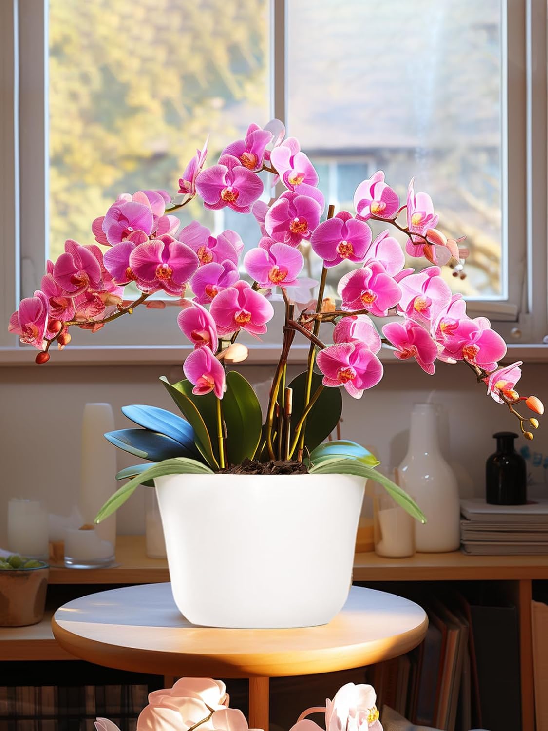 Corteza para macetas de orquídeas, corteza de madera de pino orgánica mediana de Nueva Zelanda secada al sol para orquídeas, mezcla de compost
