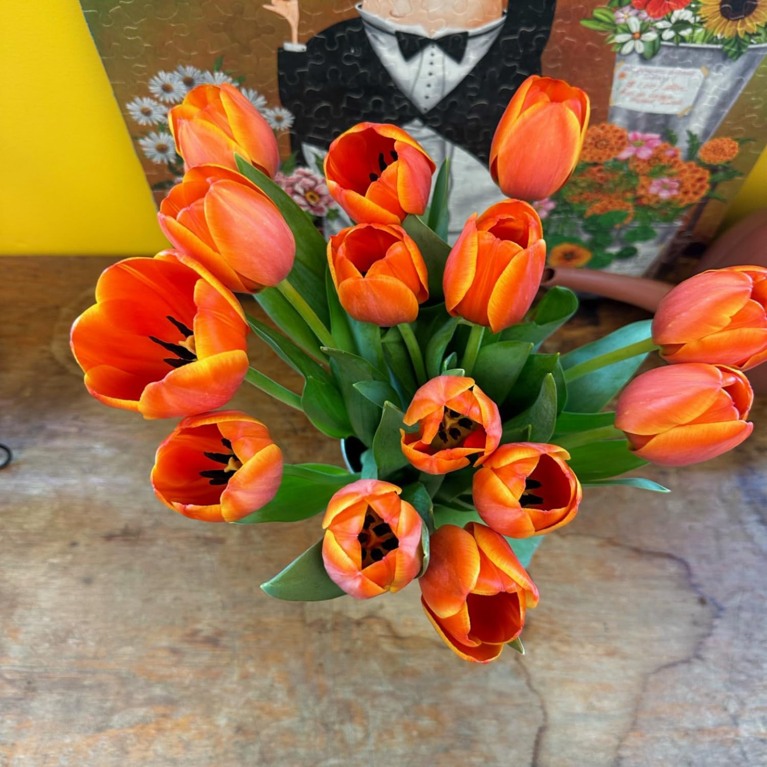 Stargazer Barn 15 tulipanes de especias de calabaza con jarrón ramo de flores frescas, entrega Prime durante la noche, directo a la granja, regalo