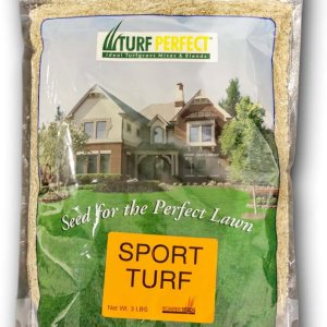 Mezcla de semillas de centeno de césped deportivo una mezcla equilibrada de hoja fina, tipo césped, raigrás perenne que crecerá rápido y se llenará Mezcla de semillas de centeno de césped deportivo una mezcla equilibrada de hoja fina, tipo césped, raigrás perenne que crecerá rápido y se llenará