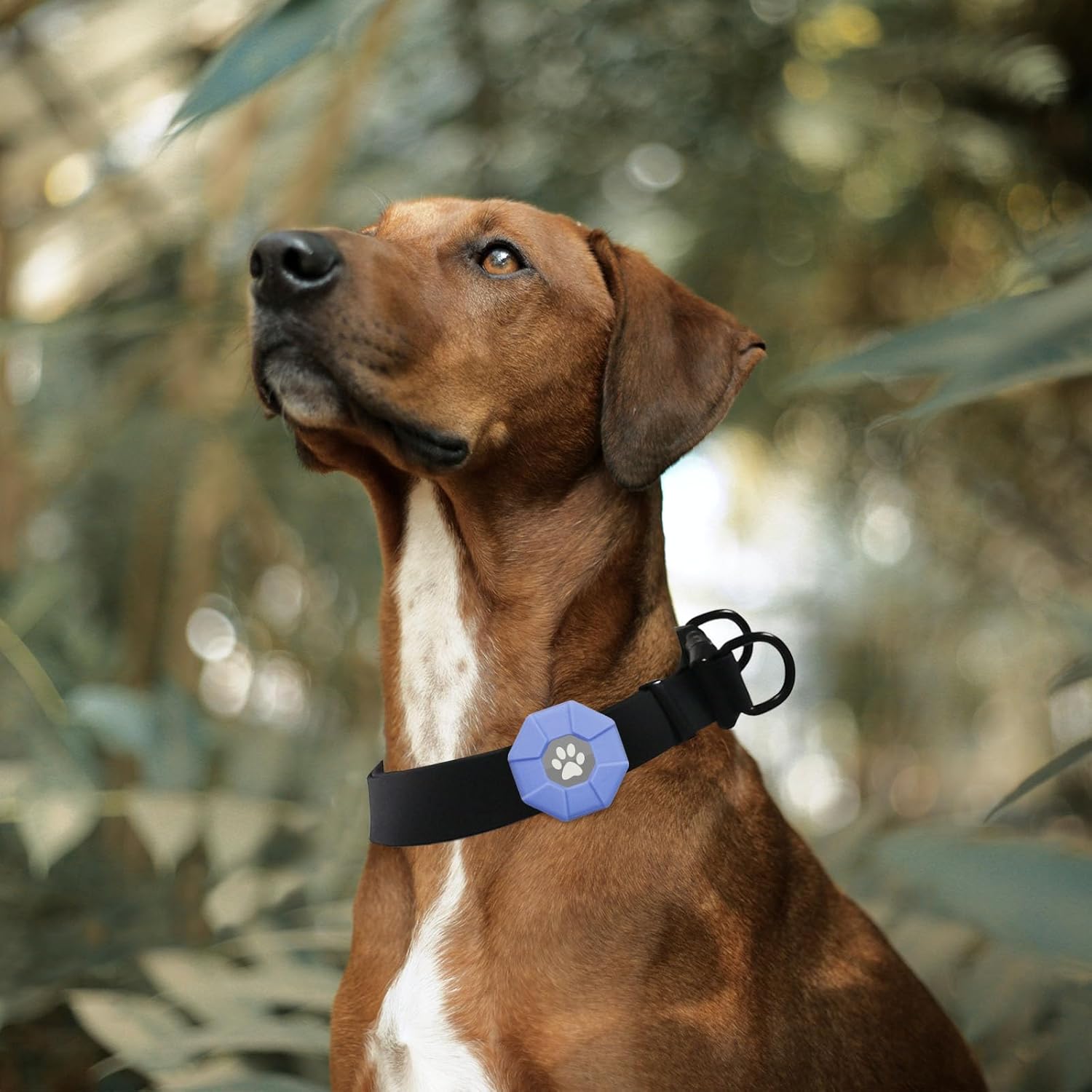 Kidding Pets Airtag – Soporte para collar de perro, paquete de 2 fundas de silicona para Airtag, ligeras y duraderas, protectoras para perros y gatos