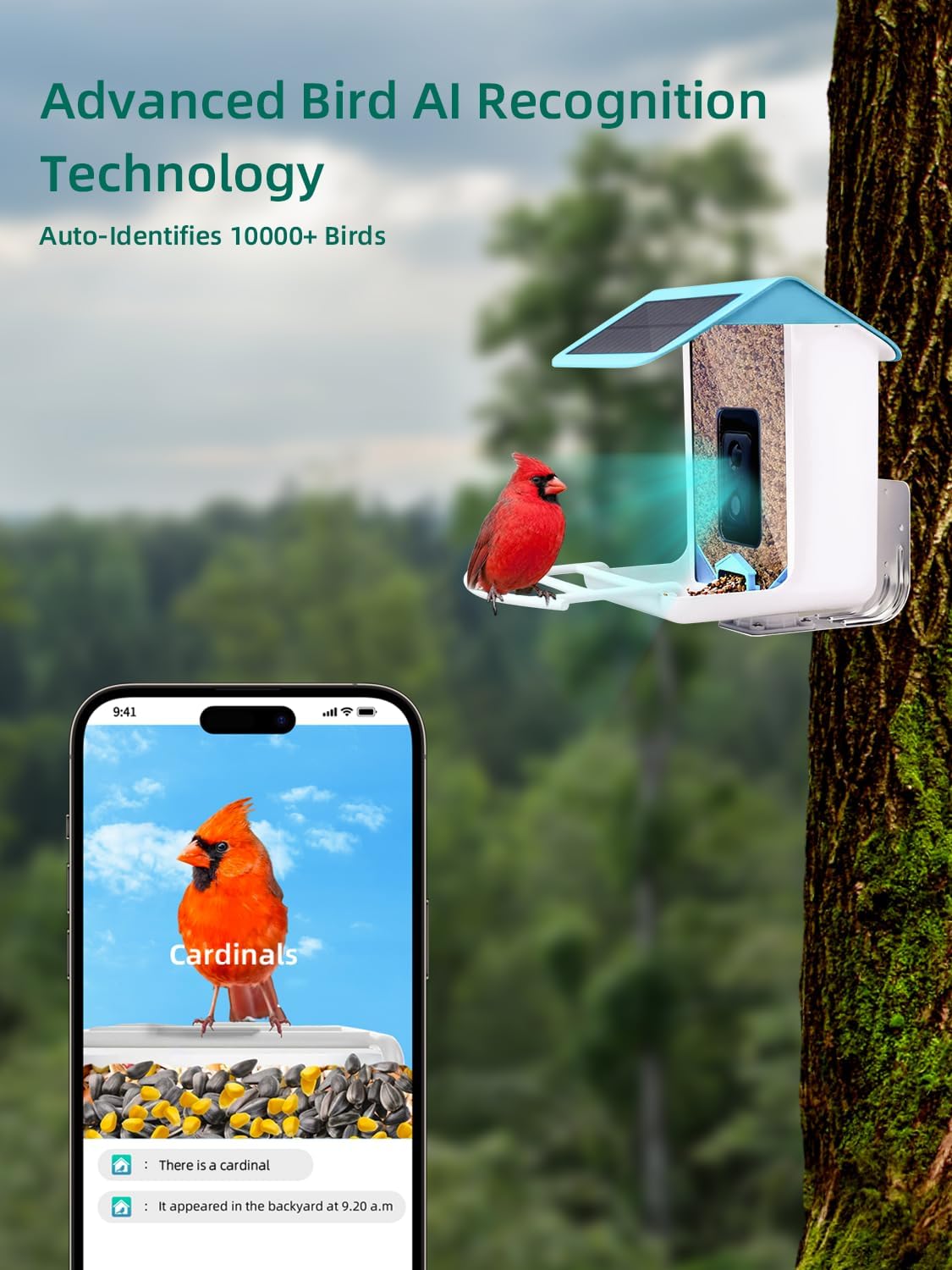 Comedero para pájaros con cámara, alimentador de video para pájaros con reconocimiento AI, notificación automática detectada de aves, conexión WiFi