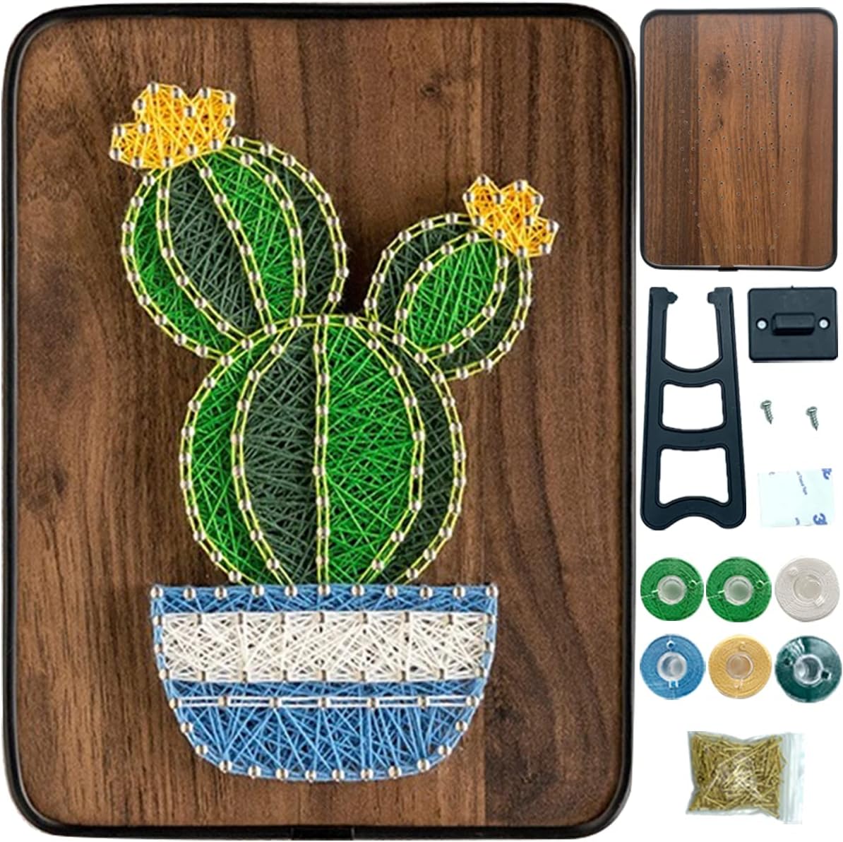 BAZIMA Kit de arte de cuerda para principiantes, kit de manualidades de cactus en maceta, regalo único, kit de manualidades para vacaciones, cactus