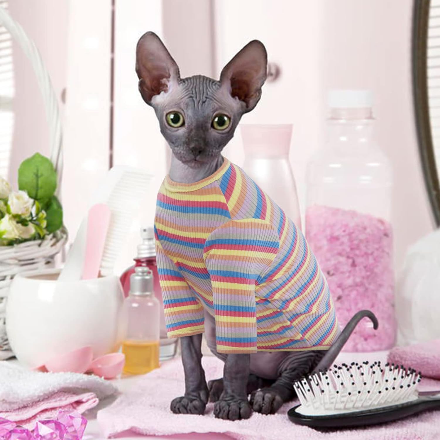 Bonaweite Sphynx Camisa de gatos sin pelo, Cornish Rex Kitten Rainbow Stripe Camisetas con mangas, suéter de cuello alto transpirable para gatos,
