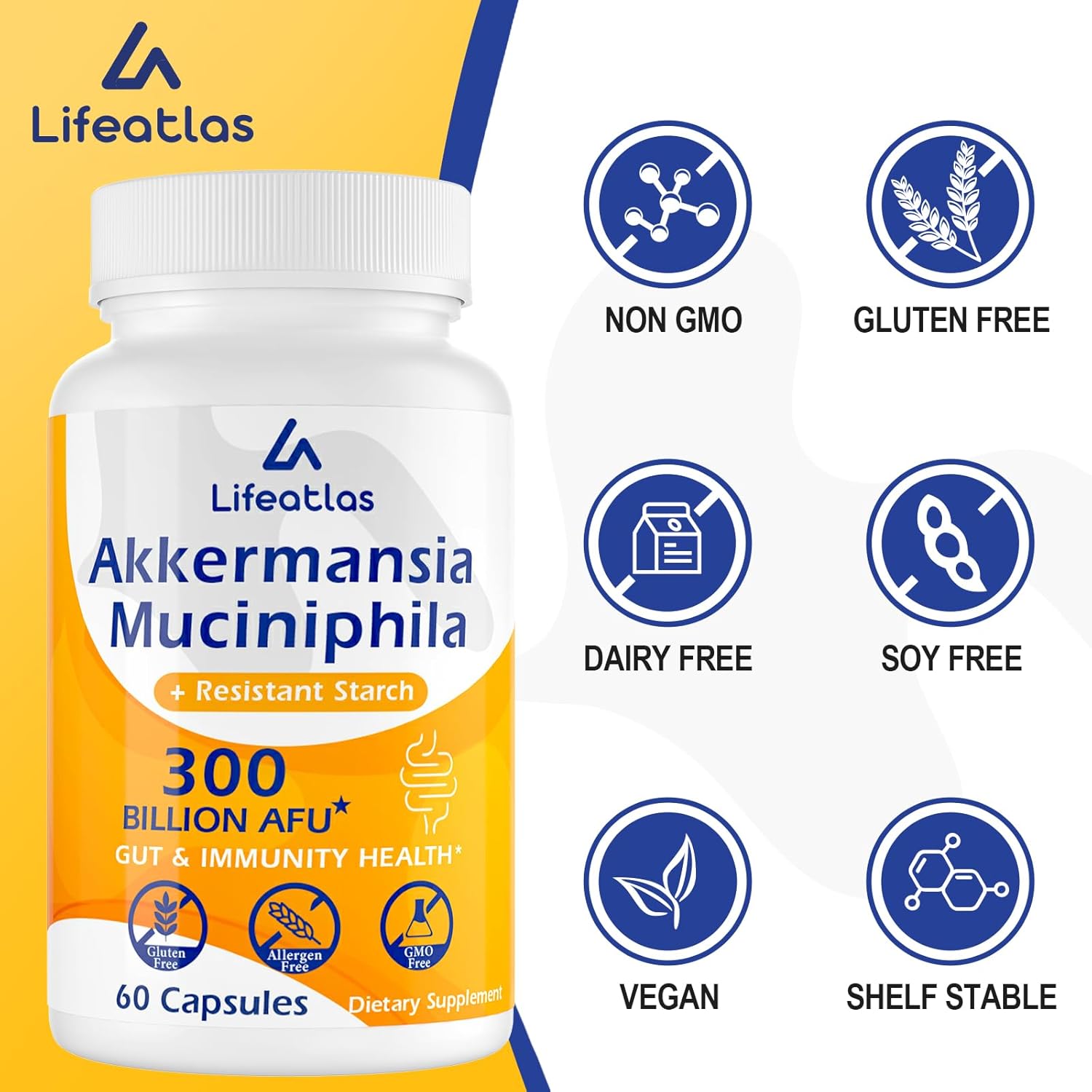 300 mil millones de AFU Akkermansia Muciniphila – Probióticos Akkermansia vivos para mujeres y hombres, para GLP-1, digestivo, intestino, inmune y
