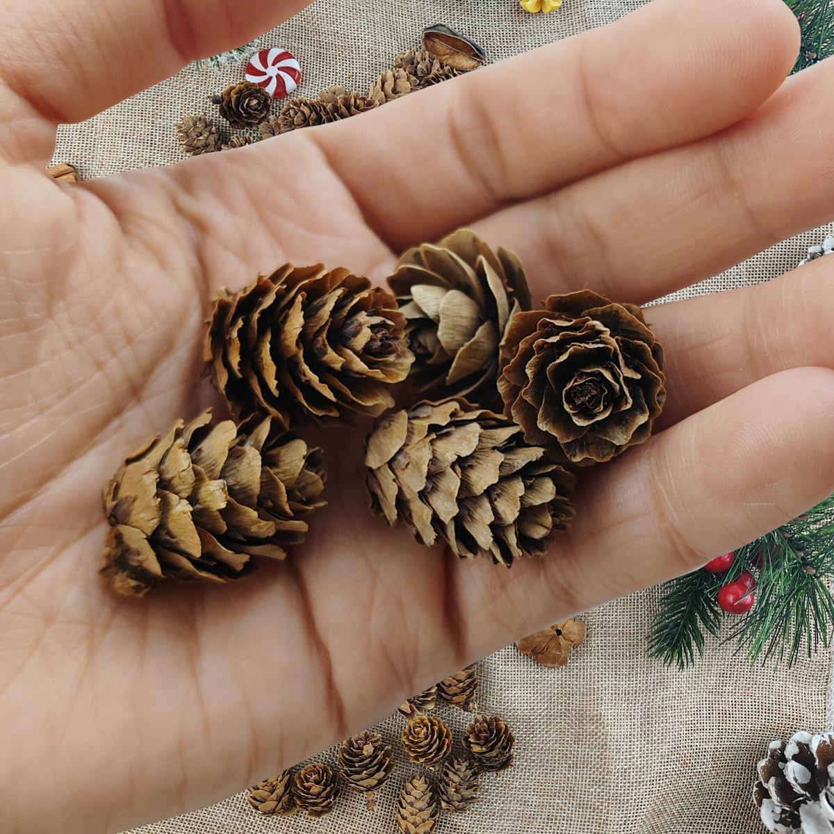 TIHOOD 320 minipiñas naturales de Navidad de 1.18 a 1.97 pulgadas a granel, adornos de piñas naturales de Navidad para manualidades, decoración del