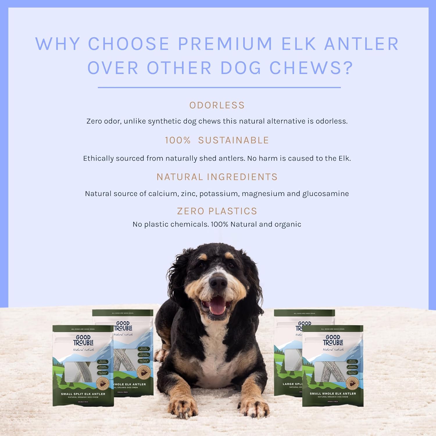 Good Trouble Pets Premium Wild Elk Astas masticables para perros (paquete de 2)  Huesos duraderos para perros masticadores agresivos, masticables de