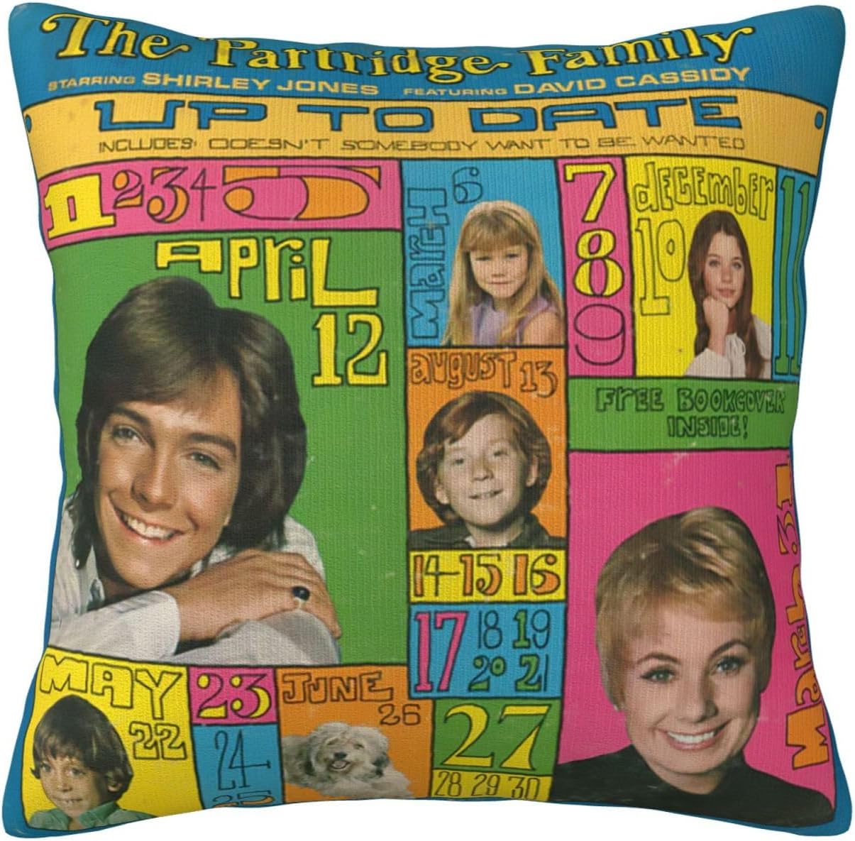 David Actor Cassidy – Fundas de almohada de 18 x 18 pulgadas, funda de almohada para exteriores para decoración de sofá