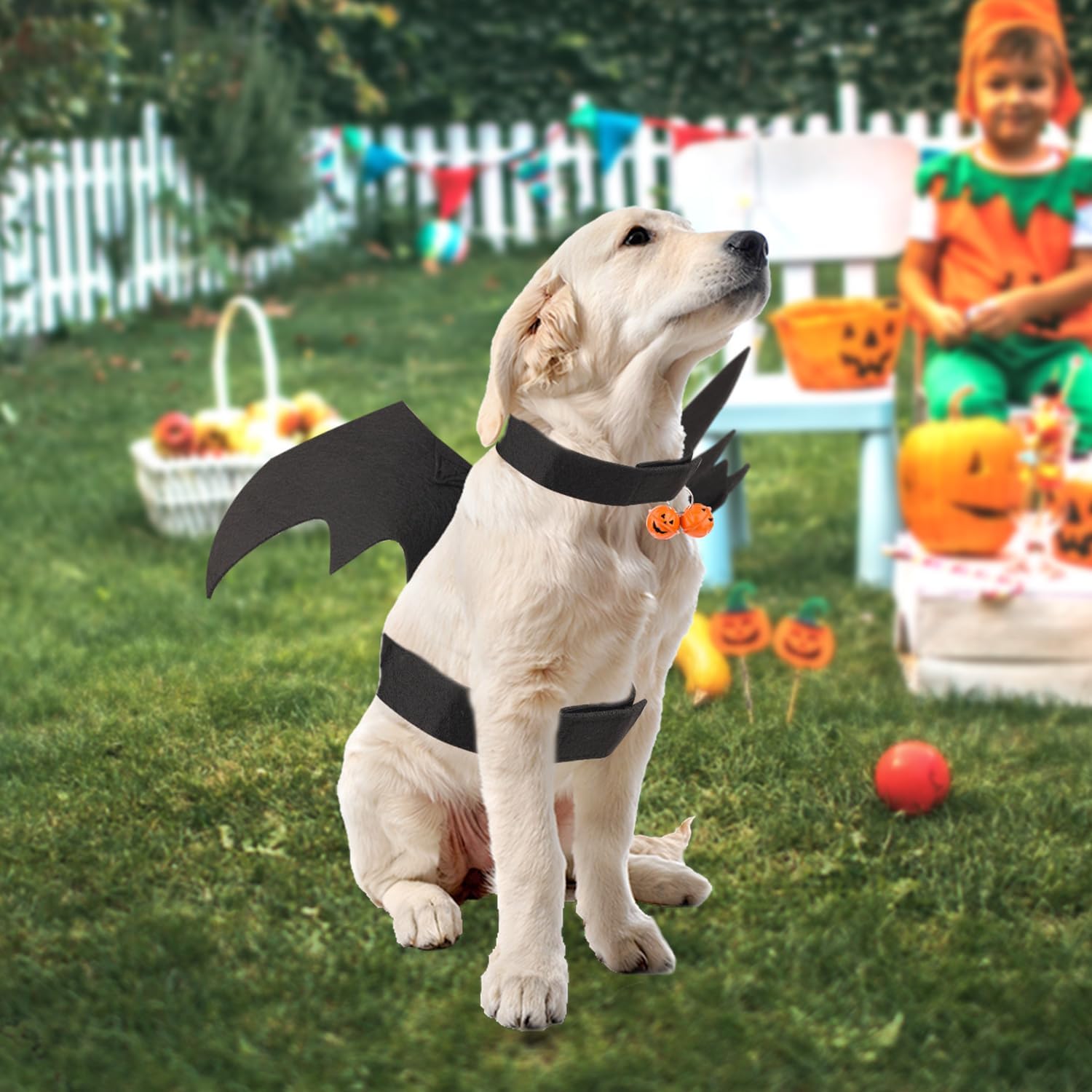 Alas de murciélago para perro de Halloween, lindo disfraz de perro, alas de murciélago para Halloween, collar de perro, alas de murciélago con