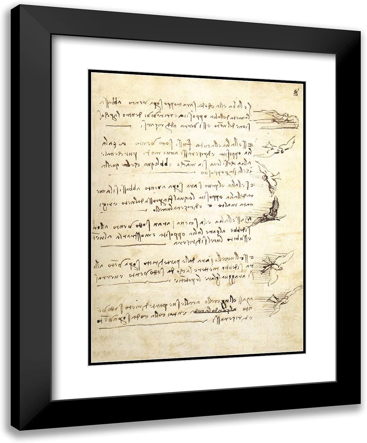 ArtDirect Da Vinci, Leonardo 19 x 24 negro moderno enmarcado arte con doble mate titulado Codex on The Flight of Birds I