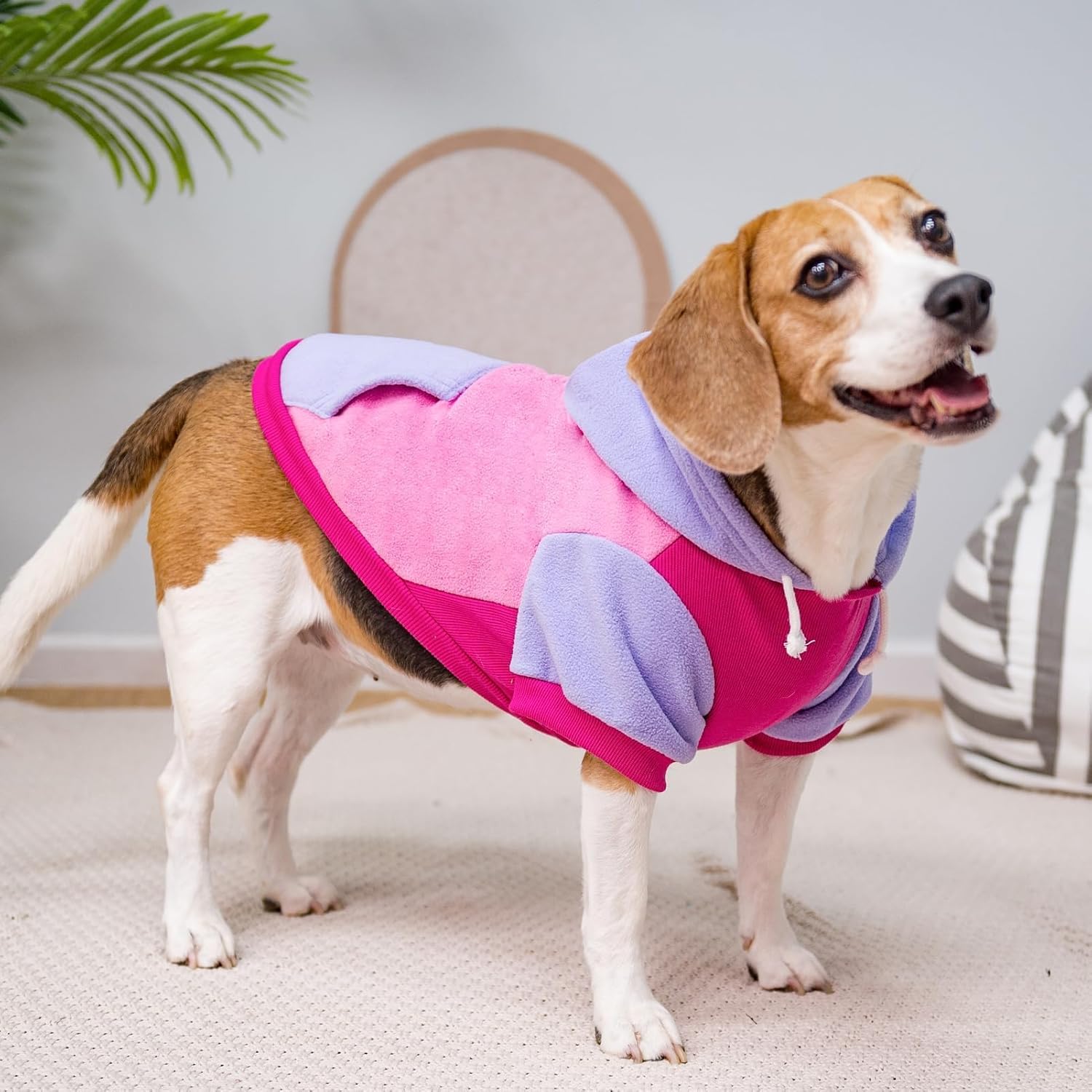 PUPTECK Sudadera de forro polar con capucha para perro, ropa suave y cálida con capucha para perros pequeños y medianos, para otoño e invierno,