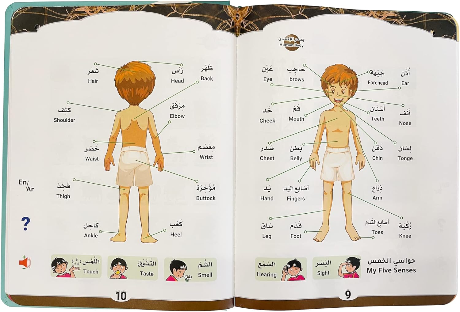 Libro de alfabeto árabe para niños con traducciones al inglés, aprender el número del alfabeto árabe Corán, libro de aprendizaje en árabe para