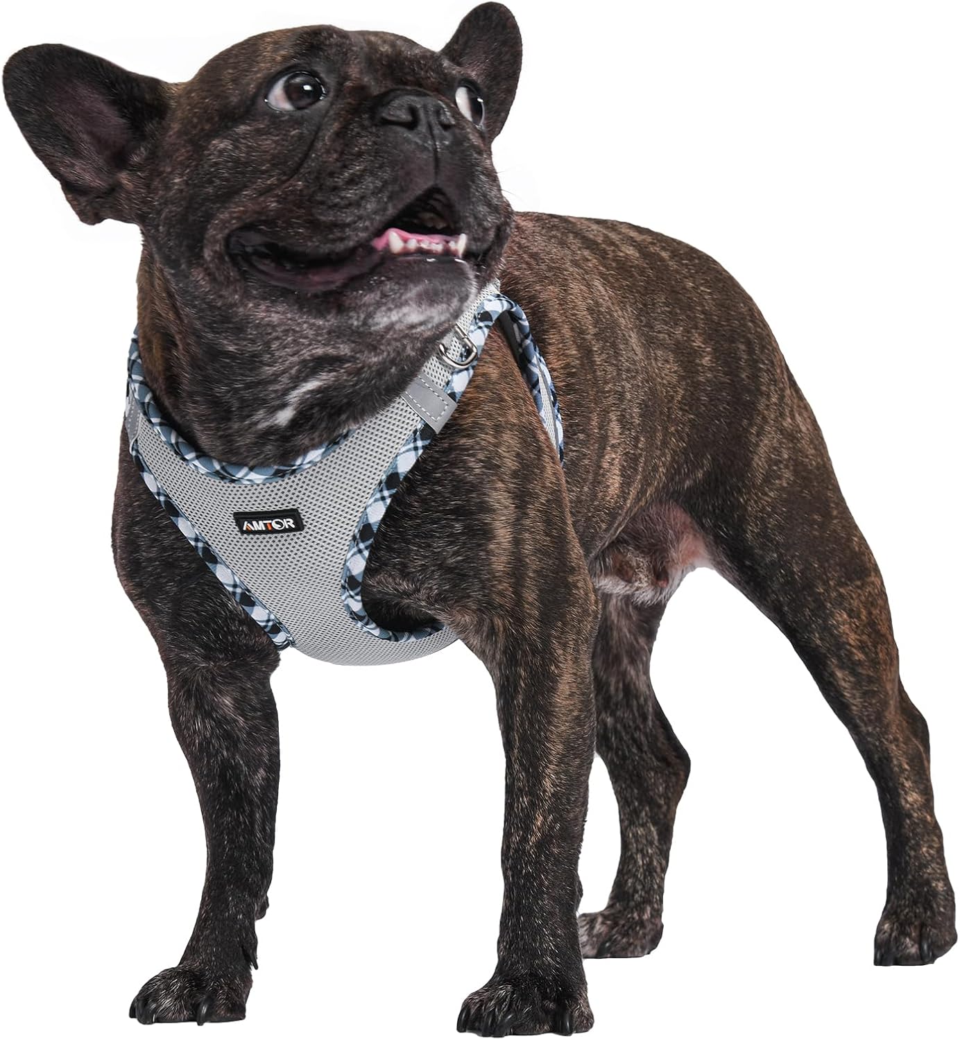 AMTOR Arnés para perro con correa, arnés reflectante ajustable sin tirones para cachorros con chaleco acolchado para perros y gatos