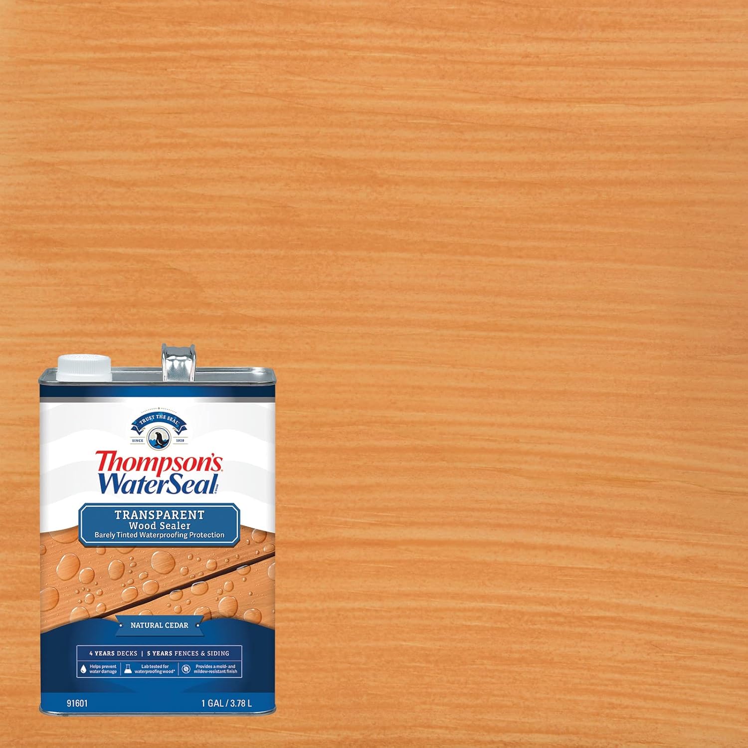 Thompson’s WaterSeal Tinte y sellador de madera impermeabilizante transparente, cedro natural, 1 galón