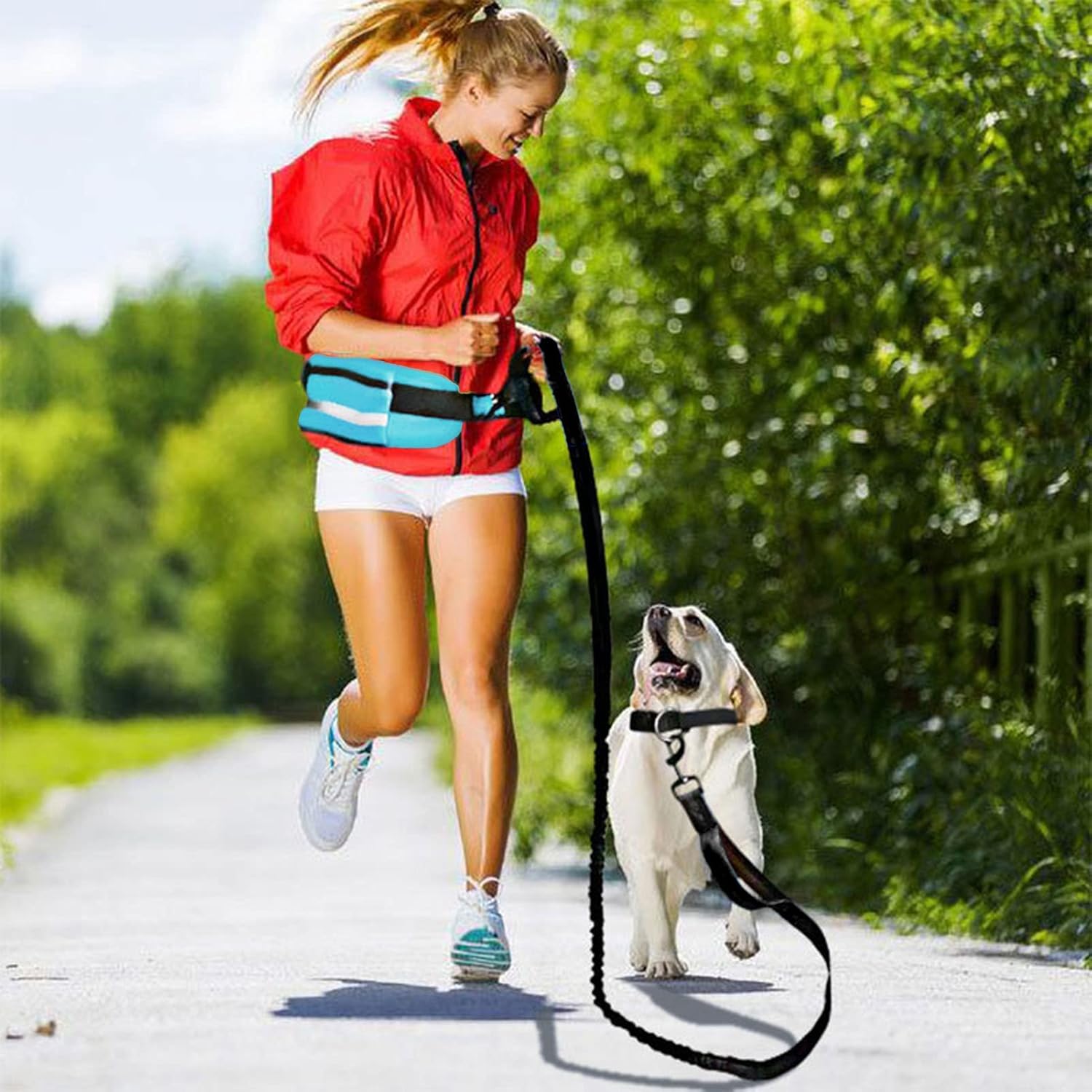 Correa de manos para perro con bolsa de cremallera para cachorro Cinto Correr, elástica duradera con tiras reflectantes, cinturón ajustable para