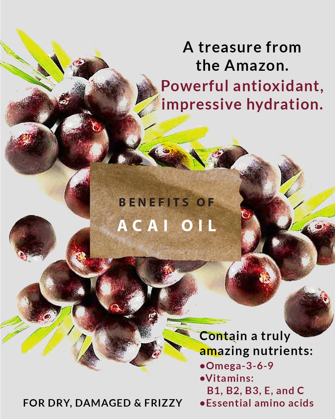 Acondicionador Tienda Smoothliss – Fabricado con aceite de acai y aminoácidos esenciales, limpieza, suavidad, vitalidad, reducción del