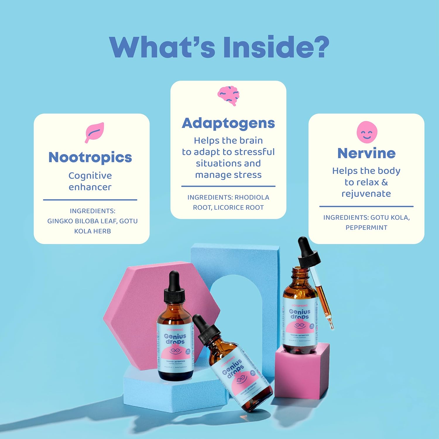 JoySpring Genius Drops – Suplemento cerebral para niños y melatonina SleepBerry para niños con saúco, melatonina líquida para apoyar el sueño de los