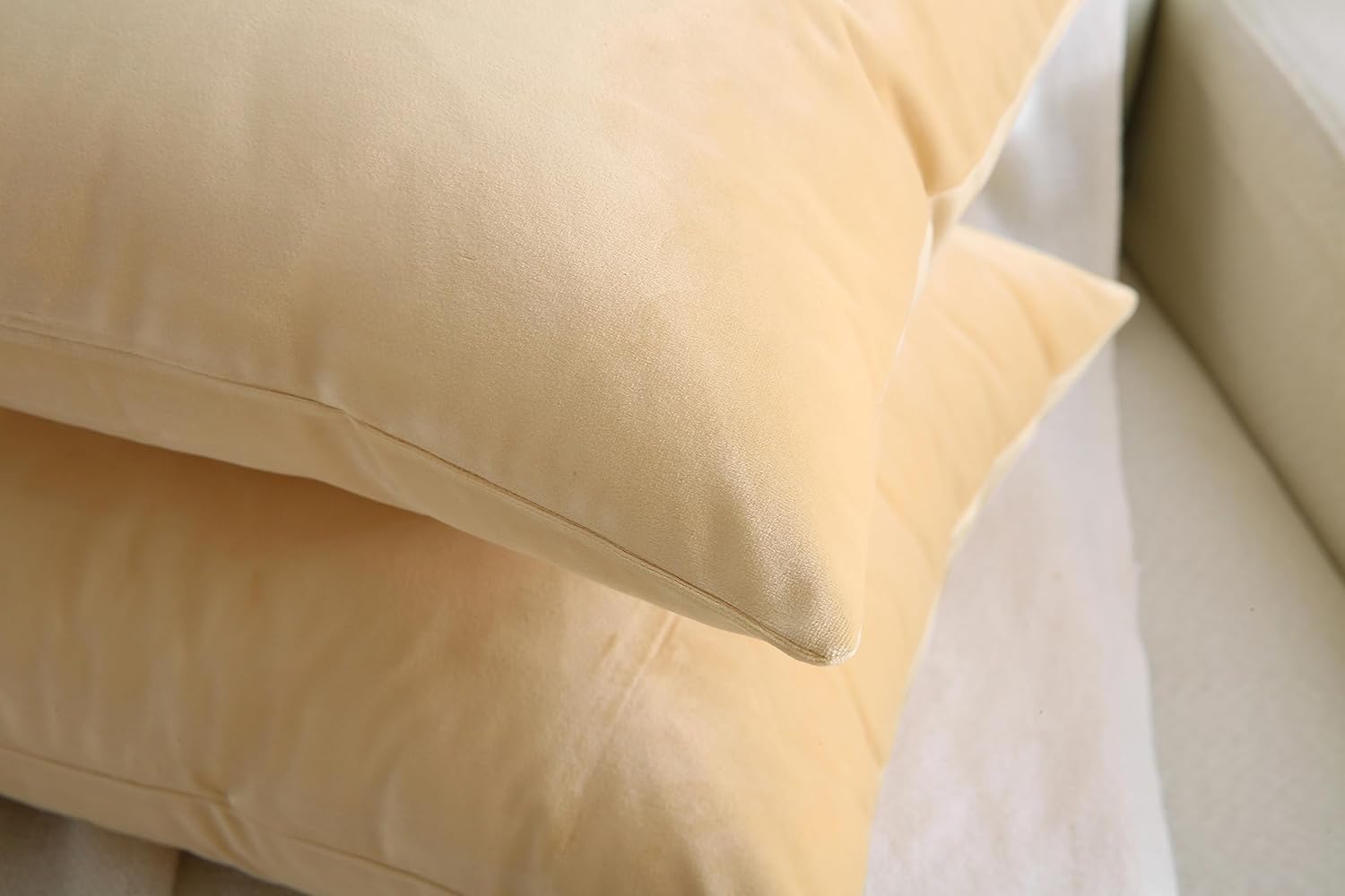 SHENGDETECH Juego de 2 fundas de almohada cuadradas de terciopelo de 250 GSM, de 18 x 18 pulgadas, supersuaves, de color liso, para decoración de