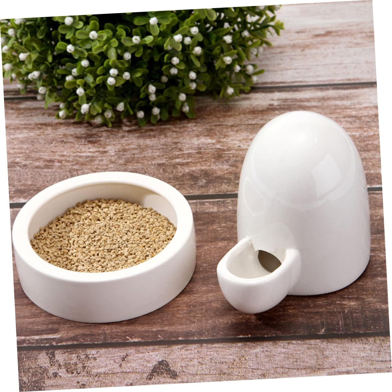 BESTOYARD 2 Sets Rutin Bebedor de Pollo Bebedor de aves de corral Bebedero de aves de corral Bebedero de agua para perros Lagarto Alimentador de