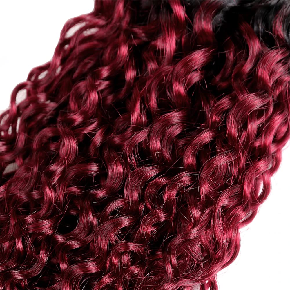 Extensiones de cabello humano ondulado brasileño de doble trama de color negro a rojo vino