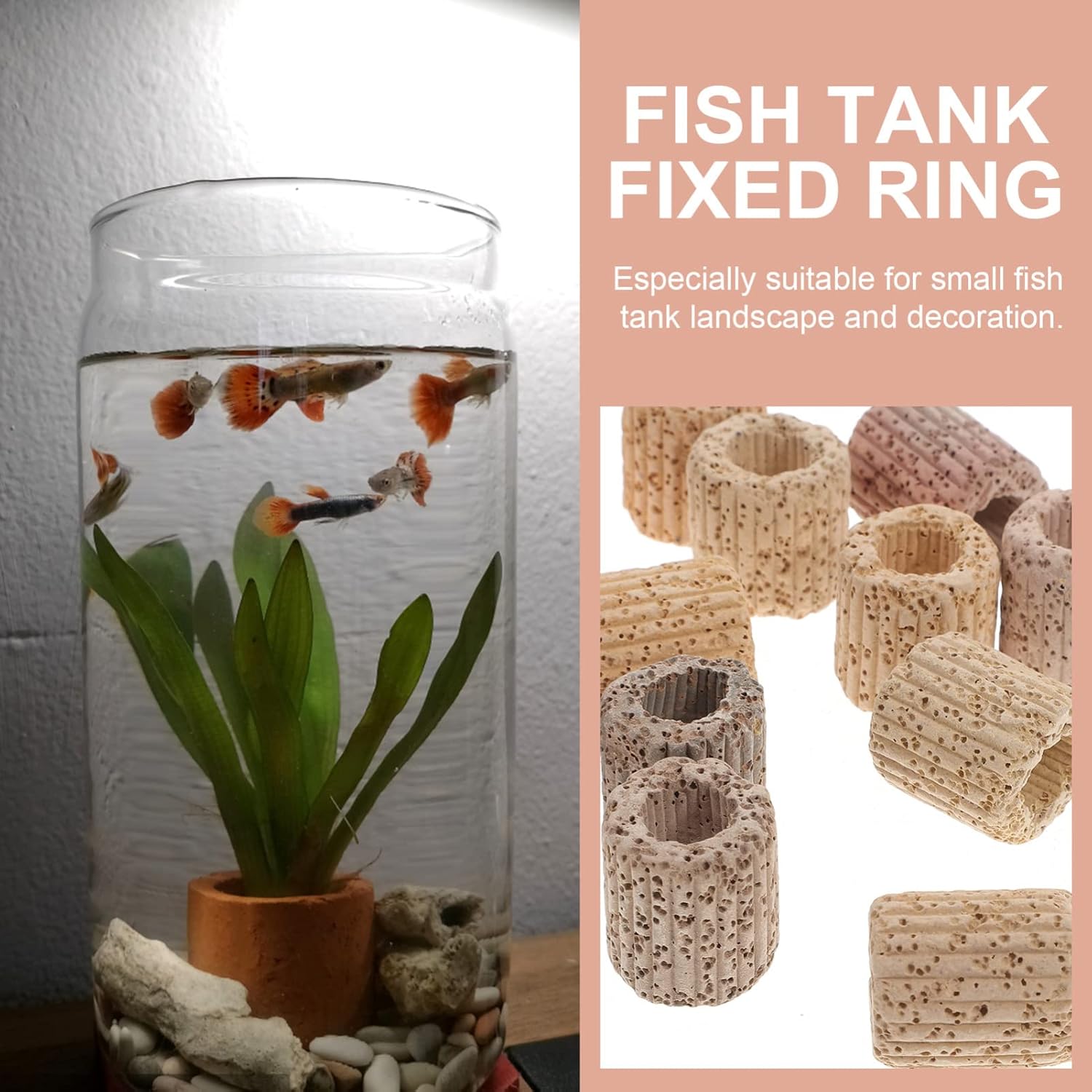 TEHAUX Soporte para plantas de acuario, soporte para plantas de acuario, anillo de gravedad, pesos de plantas de acuario, decoración botánica,