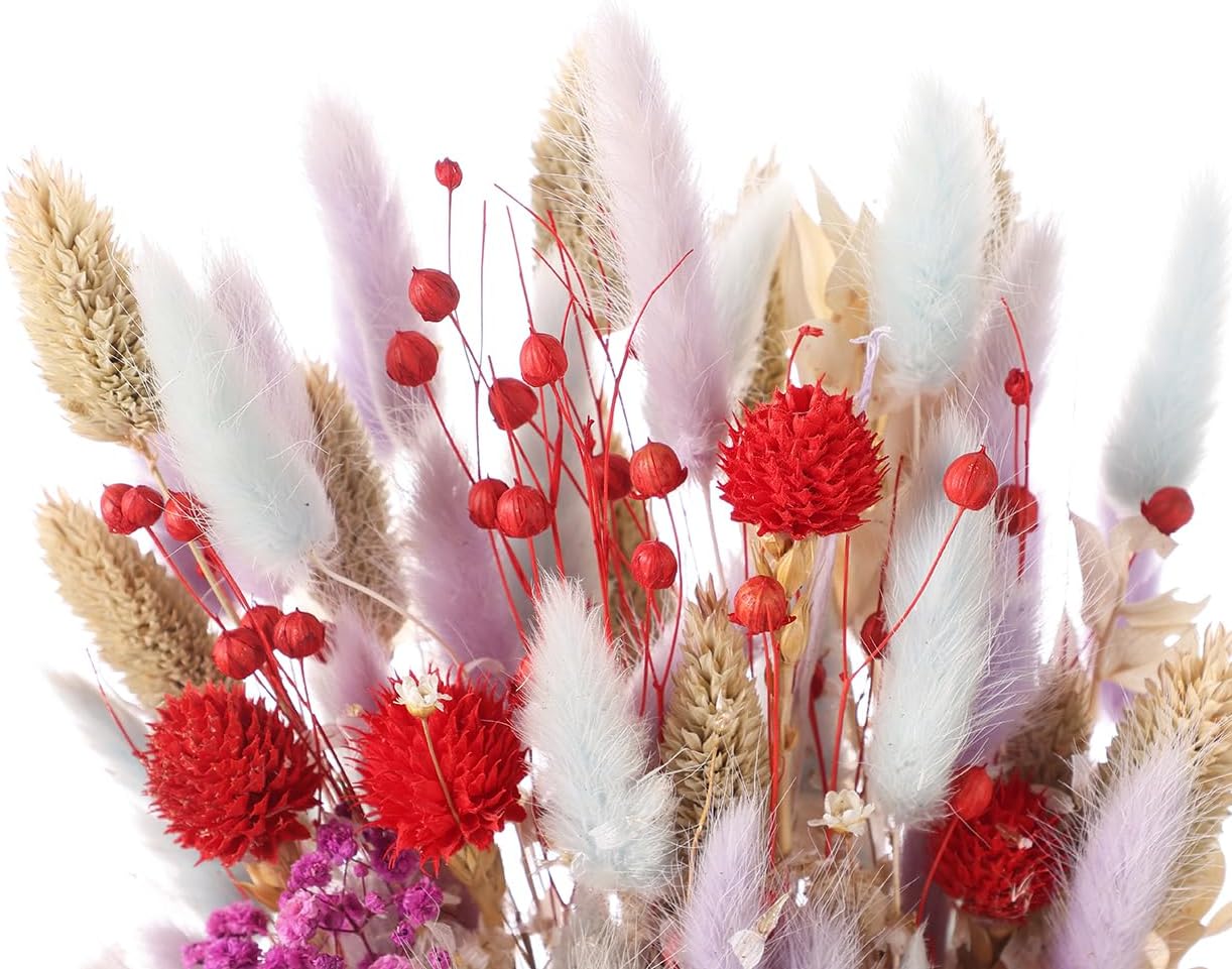Botius Ramo de flores secas mixtas naturales de 17 pulgadas, hierba de cola de conejo, aliento de bebé, crisantemo, Phalarit Canariensis, avena para