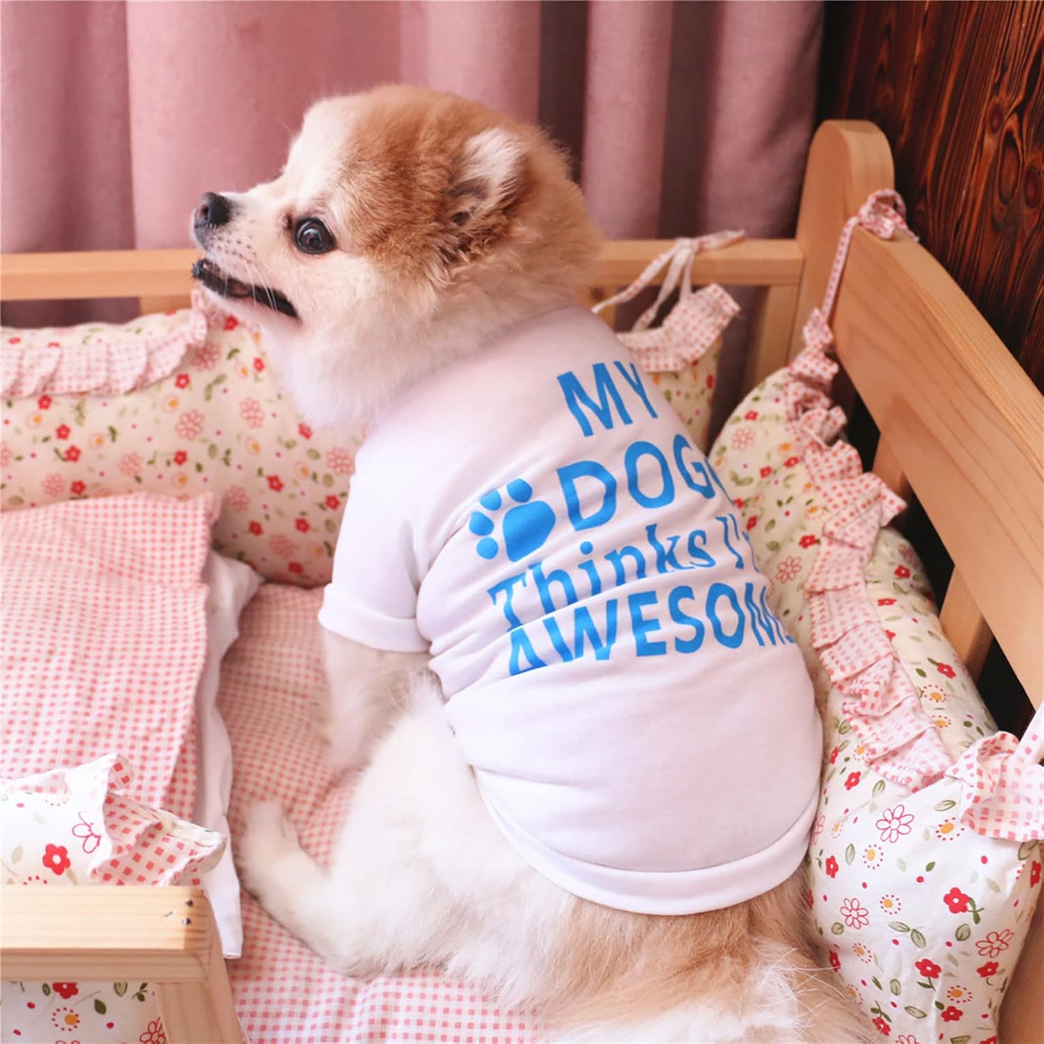 Camisa para perro con capucha, ropa de algodón, disfraz de cachorro para perros pequeños, camisas de perro para perros pequeños, ropa de taza de té,