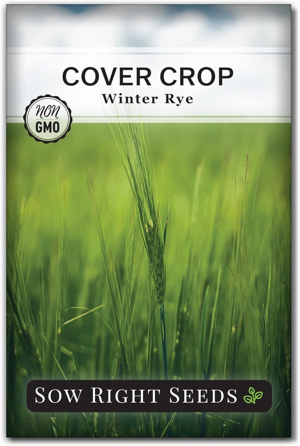 Sow Right Seeds – Semilla de centeno de invierno para plantar – Cubra los cultivos para plantar en el huerto de su hogar – Enriquece el suelo y