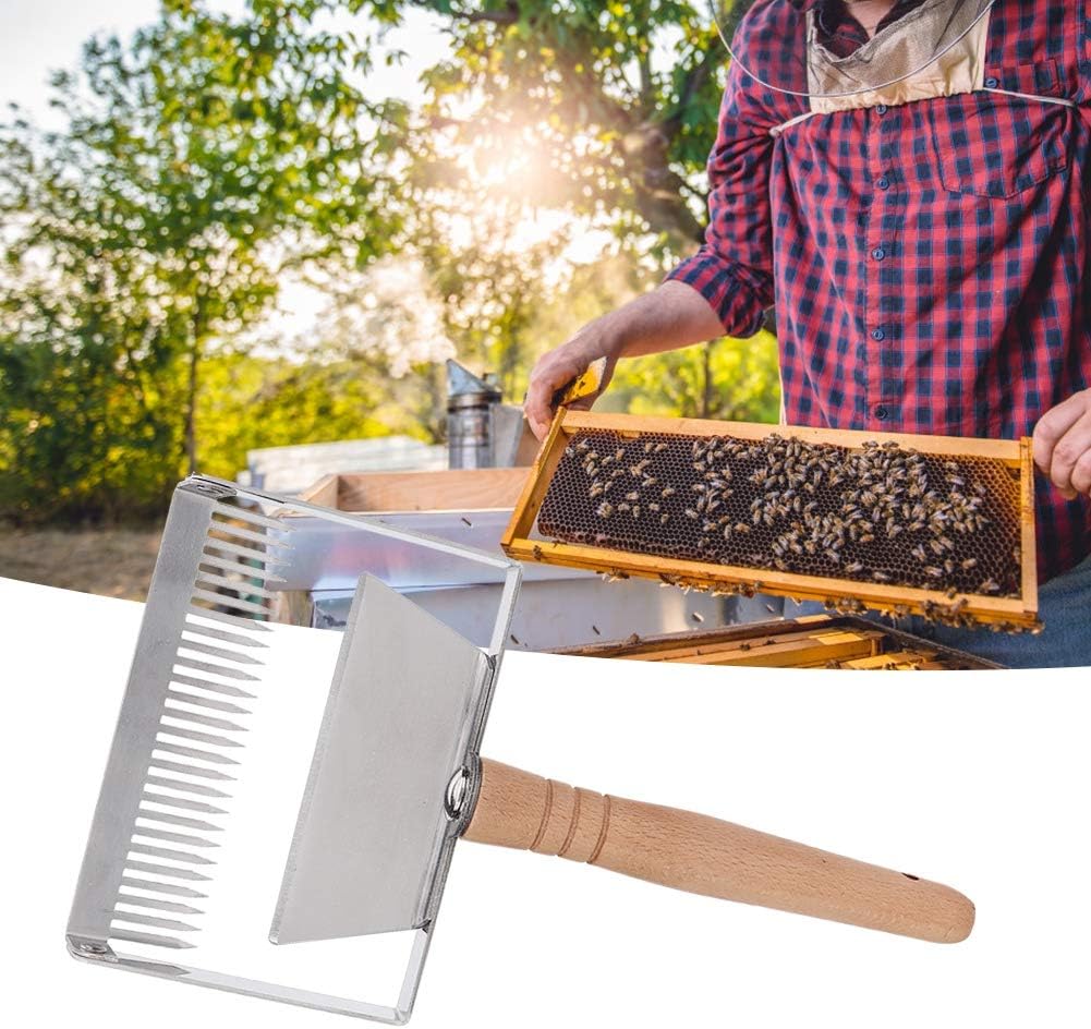 TOPINCN Wide Uncapping Fork, Stainless Steel Beehive Scraper, Ergonomic Wood Handle, Less Wastage and Mess, Beekeeping Apicultural Equipment Tool