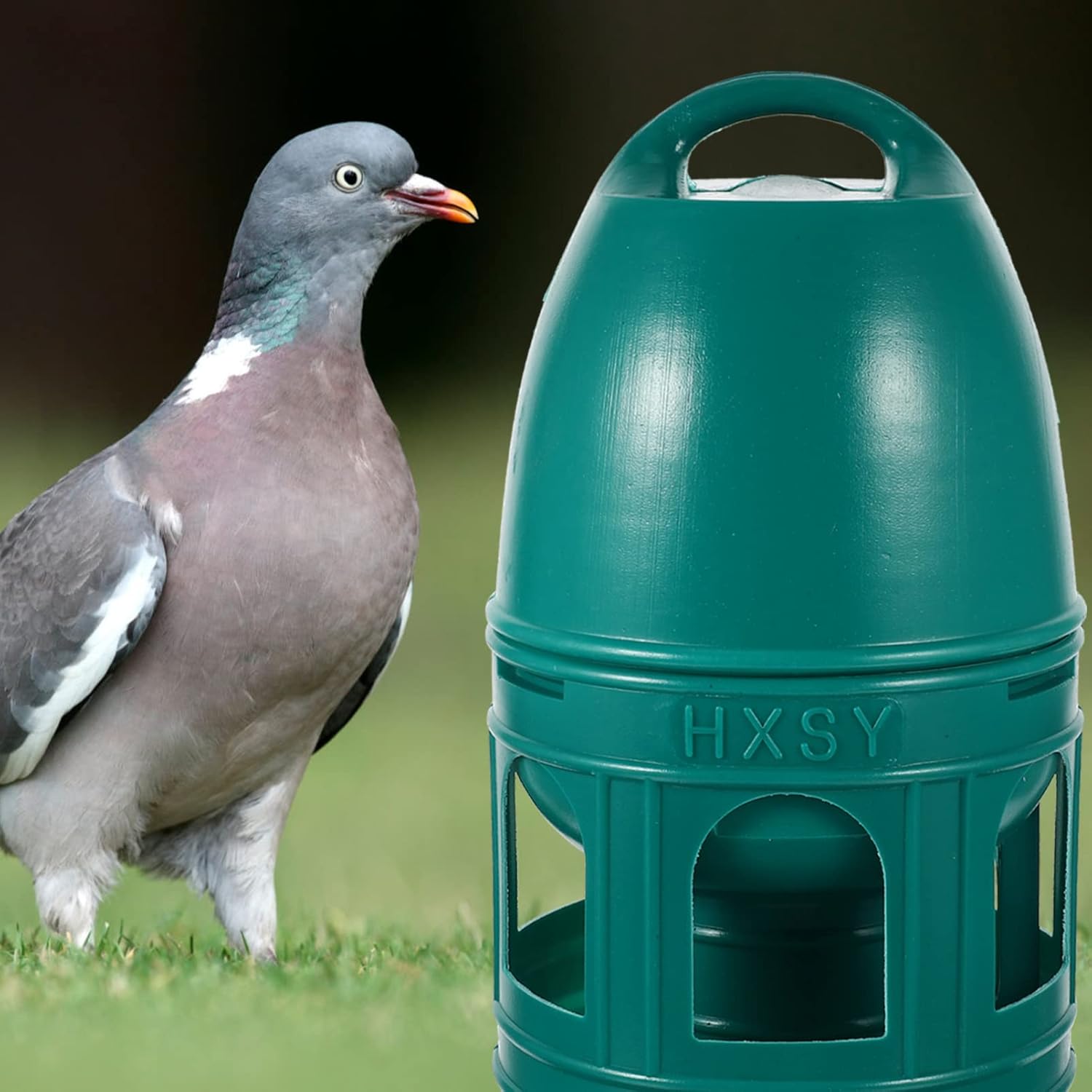 Alipis Dispensador de agua de paloma, tazas de agua de pollo, bebedor de agua para pájaros, bebedero de codornices de plástico, alimentadores