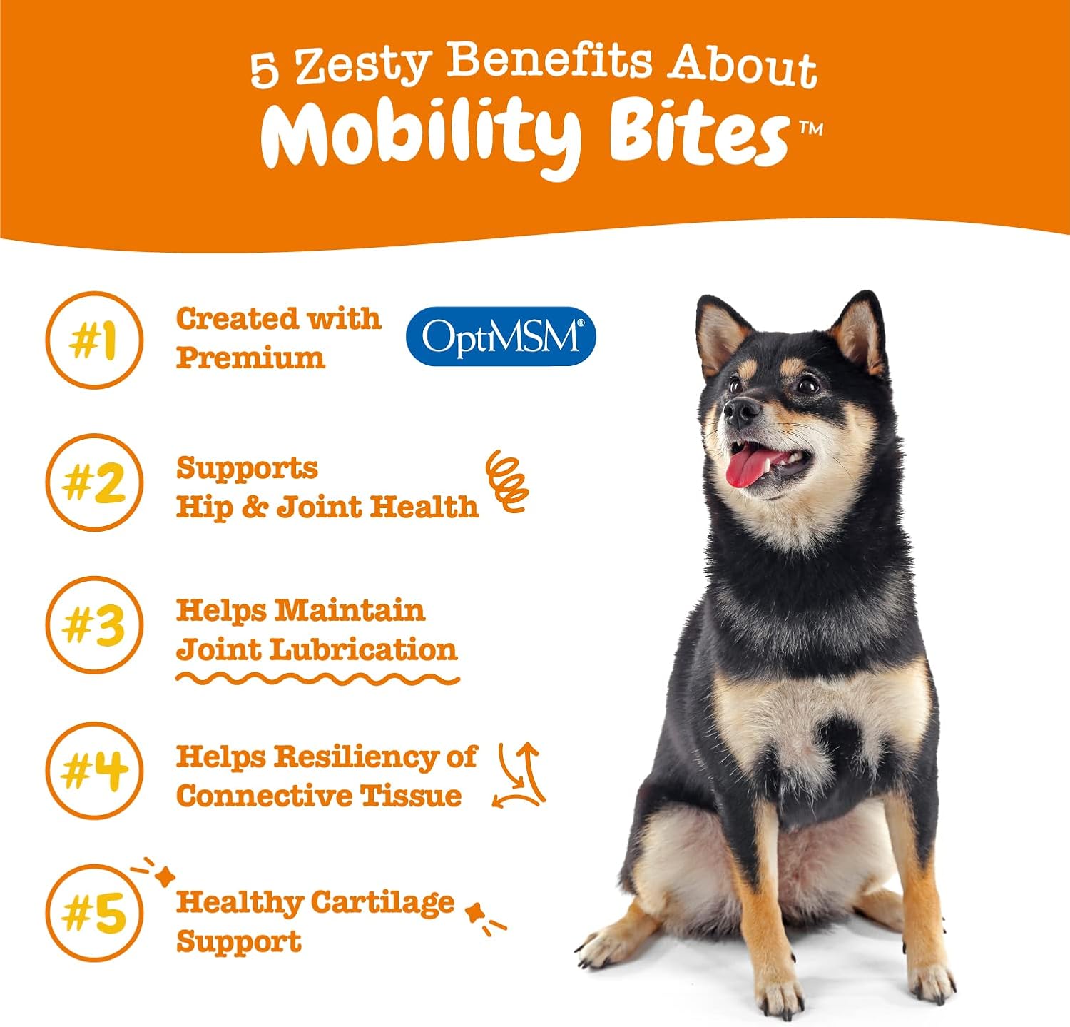 Zesty Paws Mobility Bites Suplemento para articulaciones de perro, masticables de cadera y articulaciones para perros, productos para mascotas con