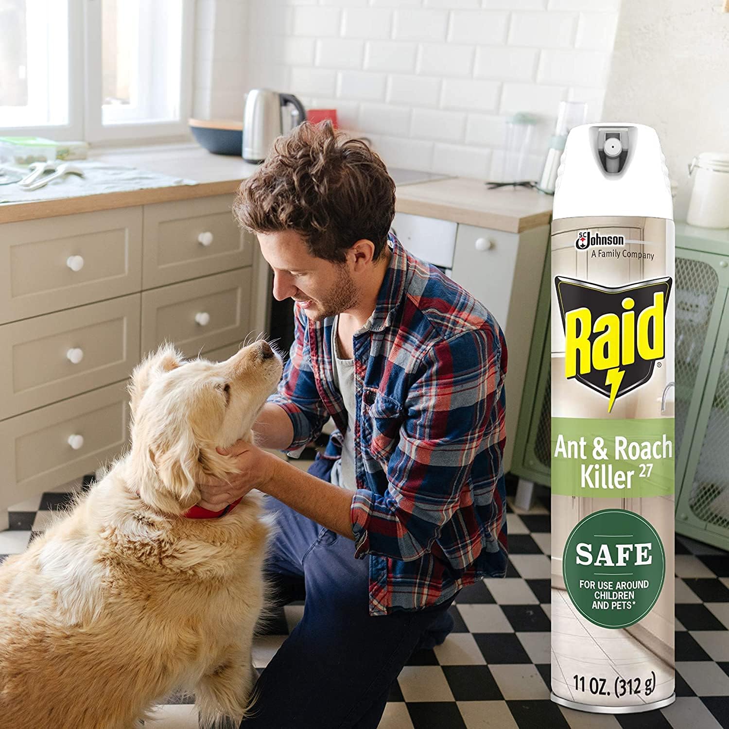 Raid Ant and Roach Killer, aerosol en aerosol con aceites esenciales, 11 onzas (paquete de 6)