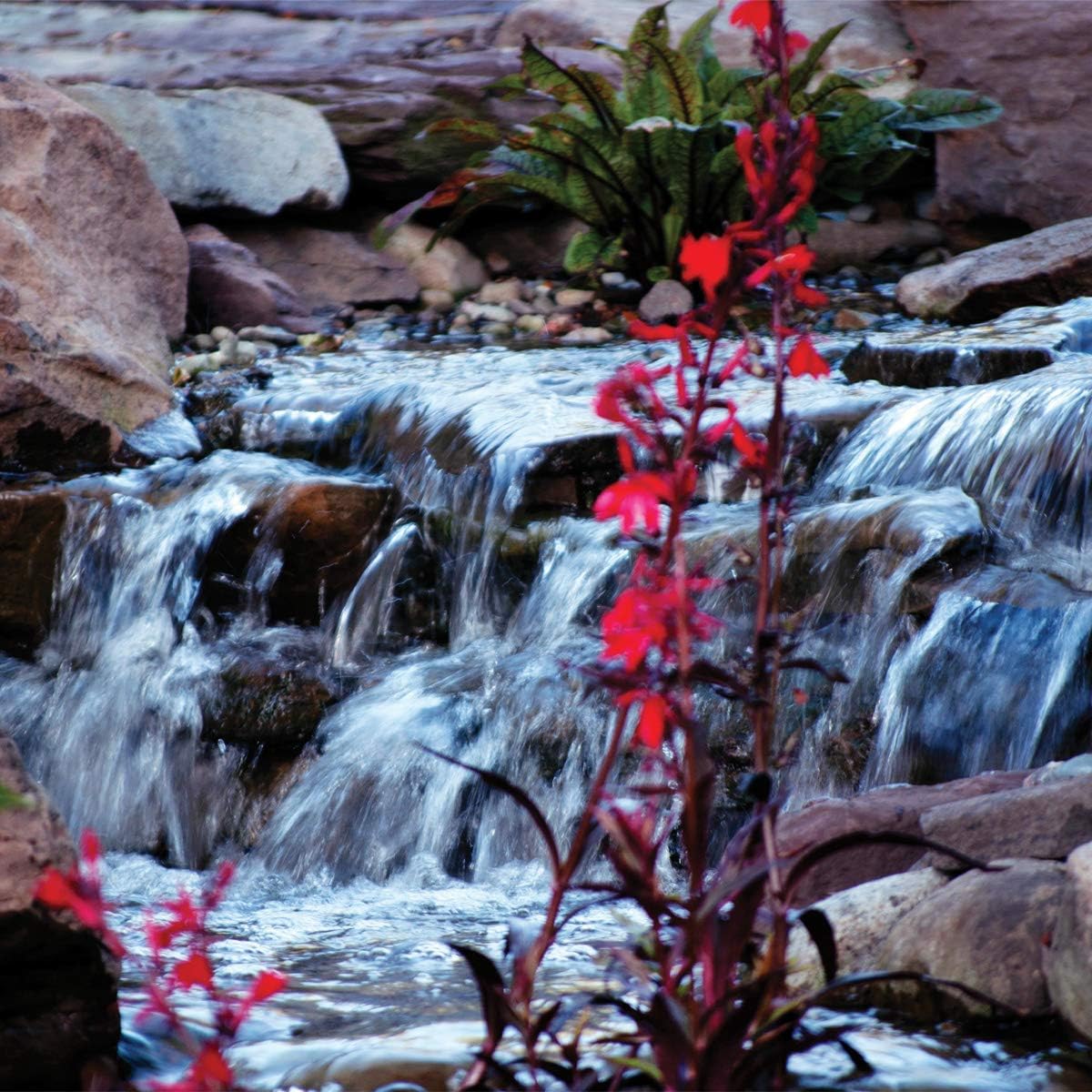 Atlantic Water Gardens TT9000 Estanque y cascada de eficiencia energética TidalWave3 Bomba asíncrona 9000 GPH, color negro
