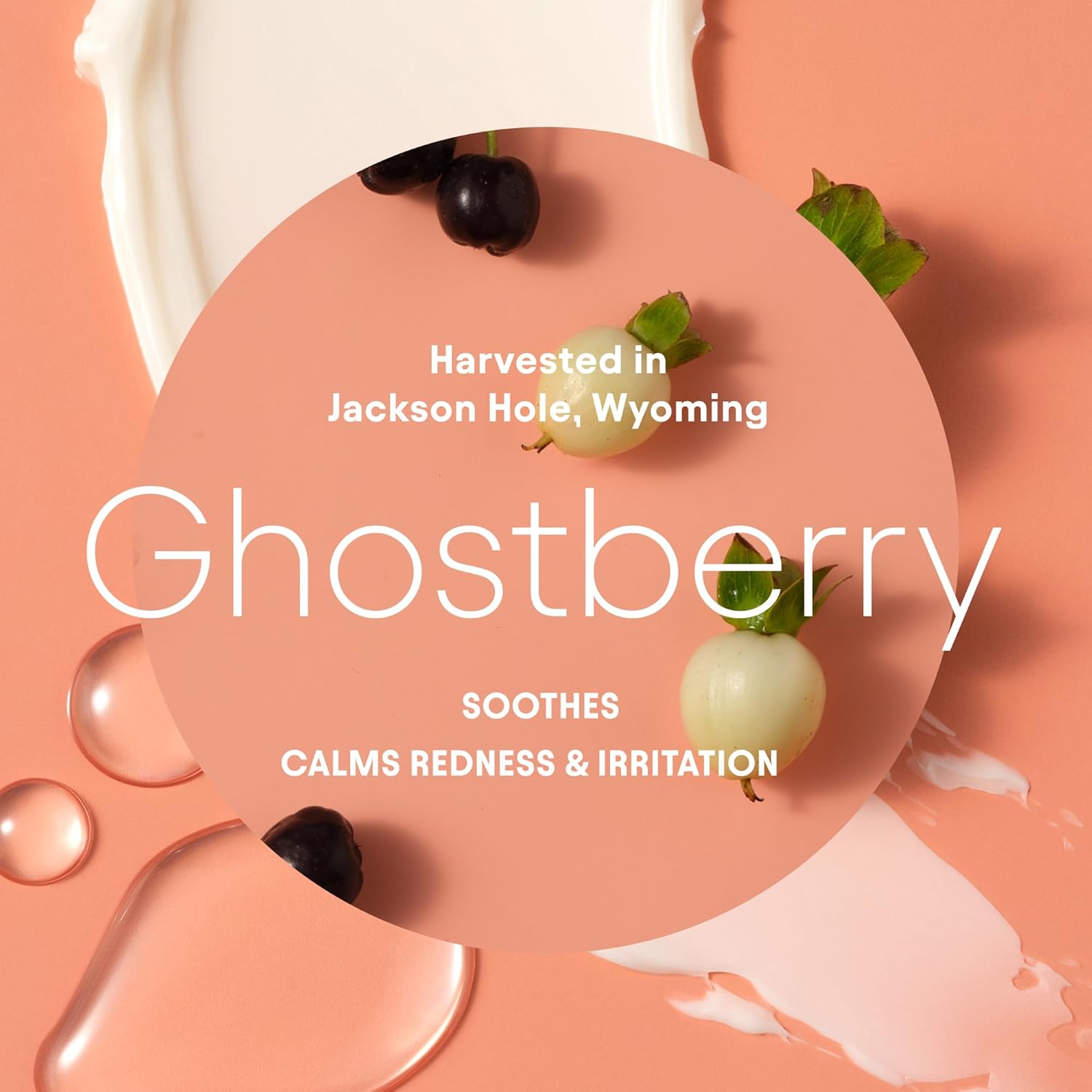 Alpyn Beauty Super Peptide & Ghostberry Hidratante para reparación de eczema, barrera y arrugas  Calma y calma contra el enrojecimiento y la