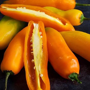 CHUXAY GARDEN Aji Amarillo, semillas de pimienta amarilla peruana, 30 semillas, chile picante, sabor único, delicioso pimiento sazonado ideal para CHUXAY GARDEN Aji Amarillo, semillas de pimienta amarilla peruana, 30 semillas, chile picante, sabor único, delicioso pimiento sazonado ideal para