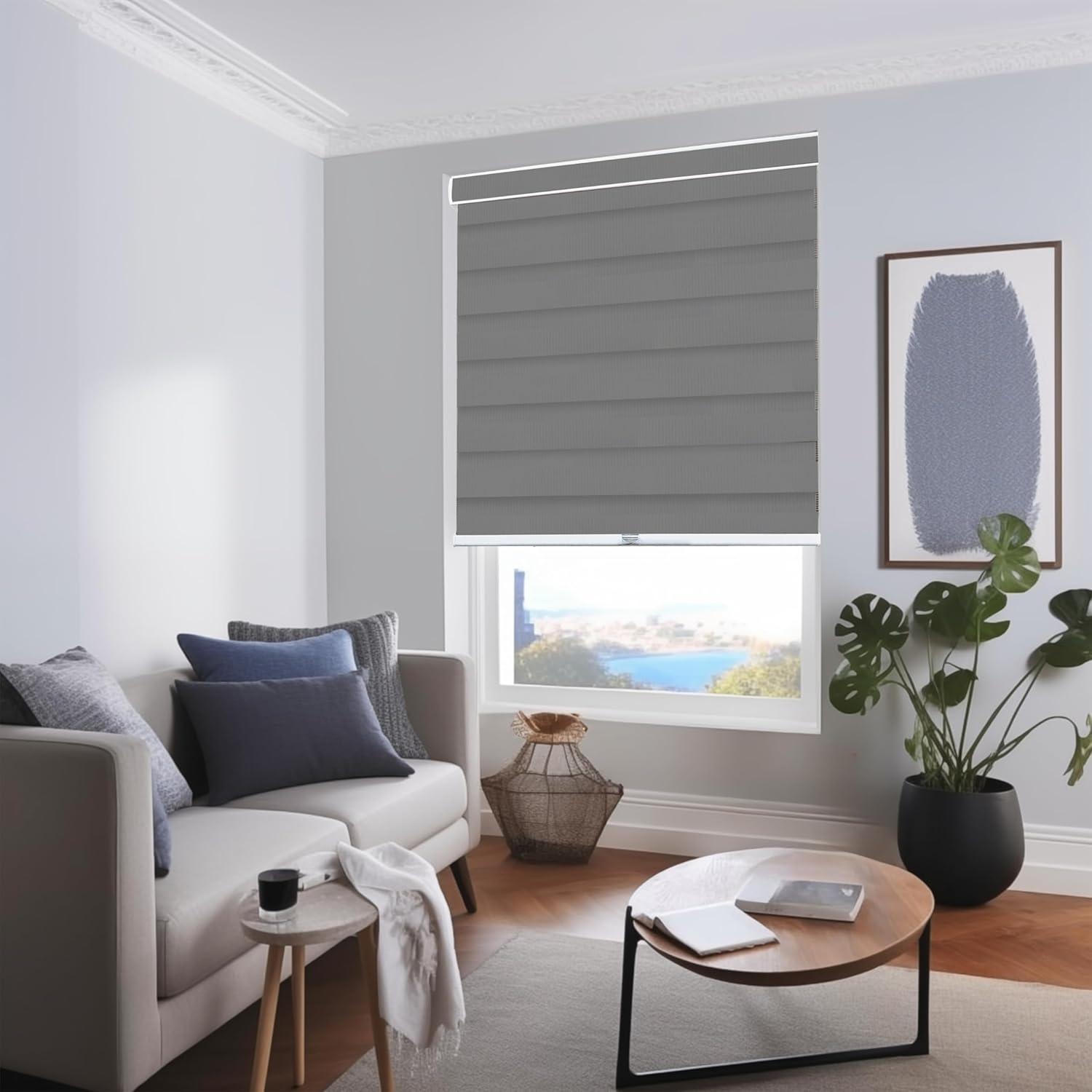 CHICOLOGY – Sombras de cebra sin varillas para uso diario, tratamiento de doble capa para ventana de filtrado de luz, ideal para niños y perfecto