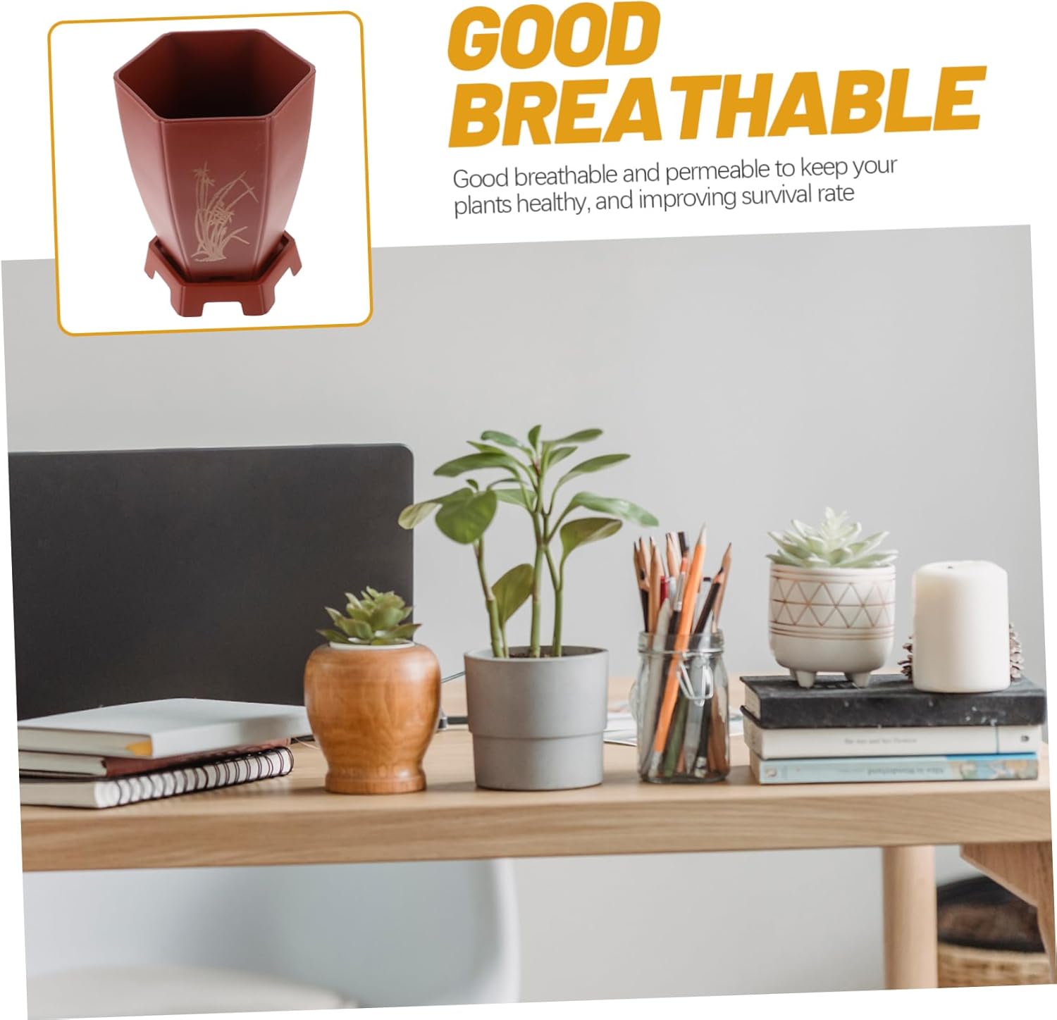Yardwe 6 Pcs Orchid Pot Orchid Planter Plant Basket Succulent Containers Self Watering Planter Pot Nursery Pot Orchild Plant Pot Succulent Holder