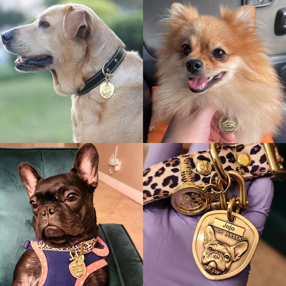 Collar de perro de cuero genuino+3D grabado en relieve francés Bulldog Dog Tag Set